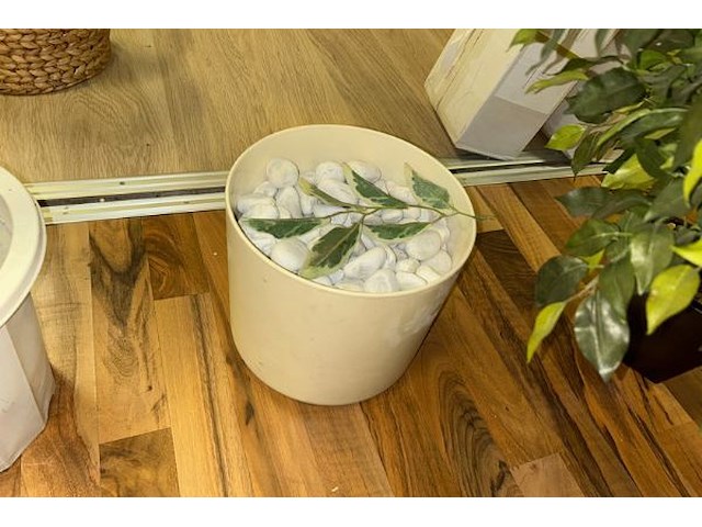 5 nepplanten - afbeelding 4 van  8