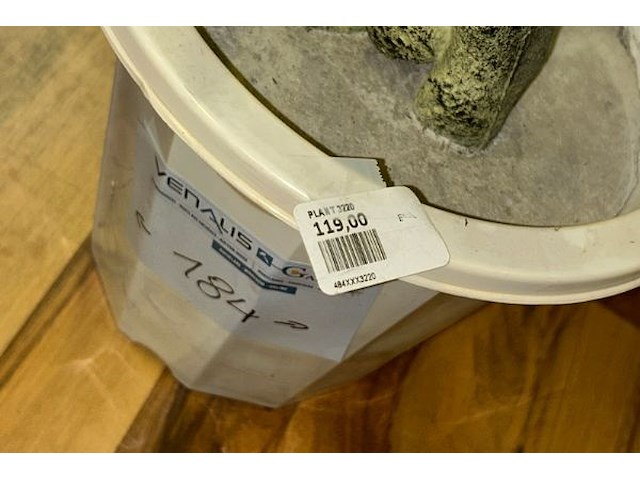 5 nepplanten - afbeelding 6 van  8