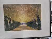 5 panoramische kunstfoto's - afbeelding 2 van  7