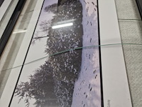 5 panoramische kunstfoto's - afbeelding 5 van  7