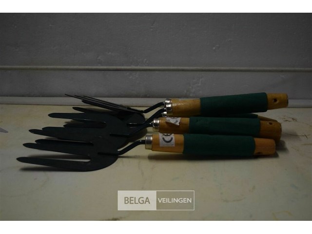 ±5 riekjes - afbeelding 1 van  3