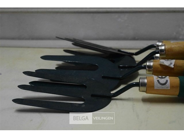 ±5 riekjes - afbeelding 2 van  3