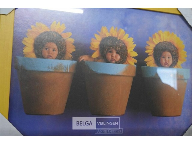 5 tekeningen in kader - afbeelding 5 van  6