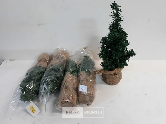5 x kerstboom 35 cm met kluit - afbeelding 2 van  3