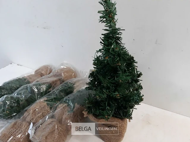 5 x kerstboom 35 cm met kluit - afbeelding 3 van  3