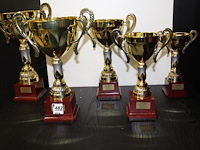 5 x trofee - afbeelding 1 van  1