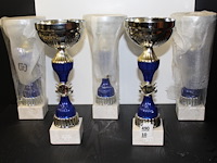 5 x trofee - afbeelding 1 van  1