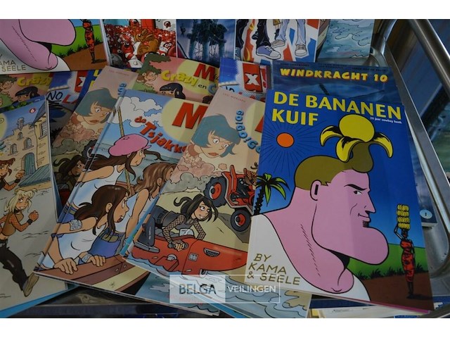 ±50 div stripverhalen - afbeelding 6 van  8