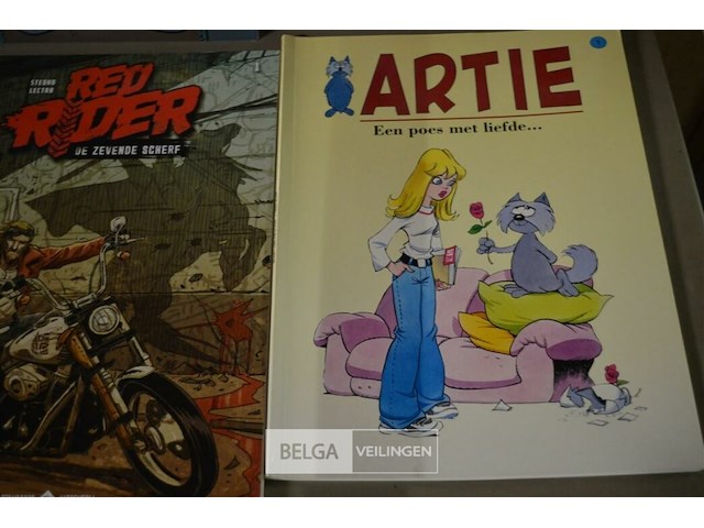 ±50 div stripverhalen - afbeelding 4 van  4