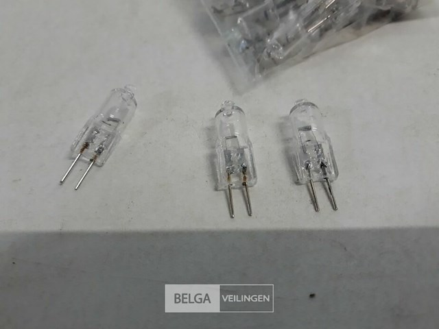 50 x steeklamp halogeen g4 20w - afbeelding 3 van  3