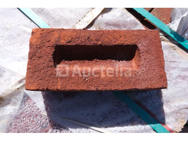 528 wienerberger basia paepesteen bakstenen - afbeelding 1 van  6