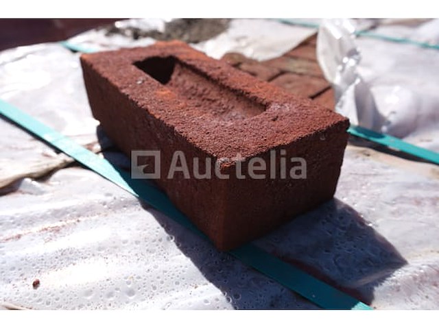 528 wienerberger basia paepesteen bakstenen - afbeelding 3 van  6