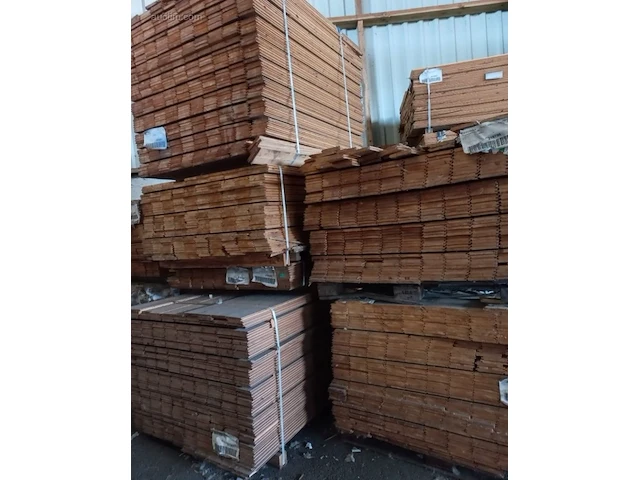 (5344x) planchettes omniplex wnd picea sf-kd... - afbeelding 1 van  6