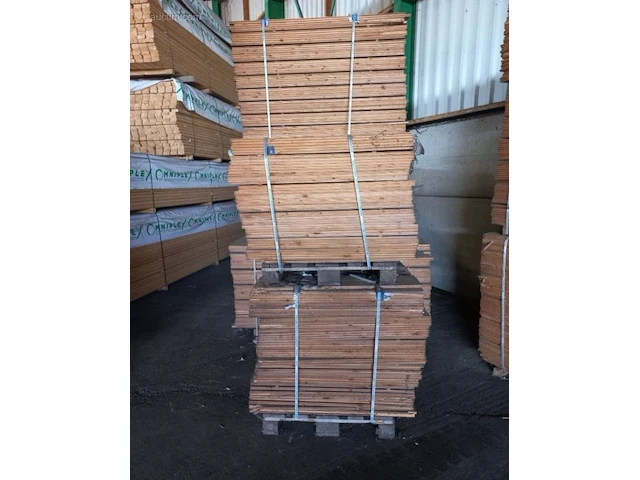 (5344x) planchettes omniplex wnd picea sf-kd... - afbeelding 3 van  6