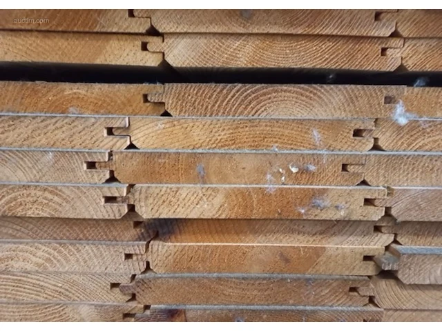 (5344x) planchettes omniplex wnd picea sf-kd... - afbeelding 4 van  6