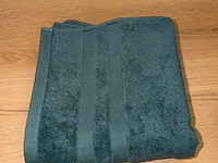 54x douchehanddoek groen