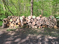 5,5x stère