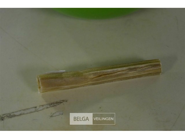 ±56 hondenkauwstokjes 13 cm - afbeelding 2 van  3