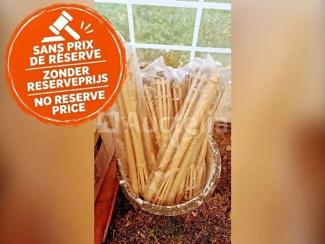 57 tuinfakkel - afbeelding 1 van  2
