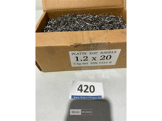 5k nagels met platte kop 1,2x20mm - afbeelding 1 van  3