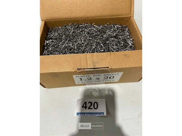 5k nagels met platte kop 1,2x20mm - afbeelding 3 van  3