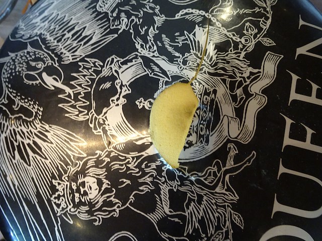 5x barkruk - afbeelding 3 van  4