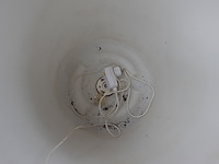 5x elektrische verlichte bloembak - afbeelding 3 van  4
