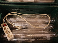 5x grijpbak + inhoud - afbeelding 3 van  6