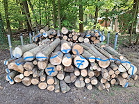 5x stère - afbeelding 1 van  1