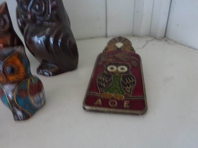 5x uil koper - afbeelding 2 van  2