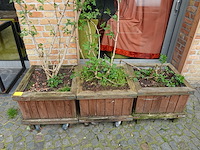 5x verrijdbare houten bloembak - afbeelding 1 van  3