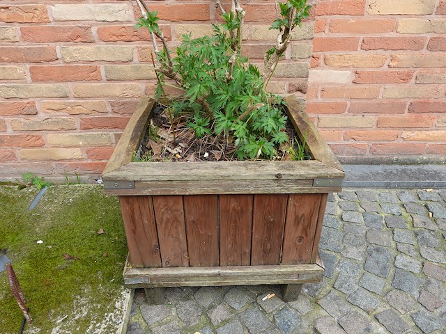 5x verrijdbare houten bloembak - afbeelding 2 van  3