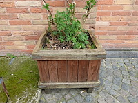 5x verrijdbare houten bloembak - afbeelding 2 van  3