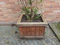 5x verrijdbare houten bloembak - afbeelding 3 van  3