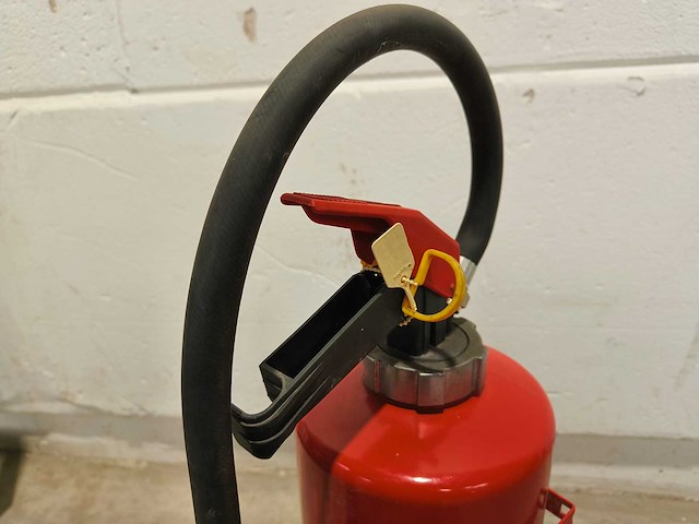 5x vorstvrije schuimbrandblusser - sicli aqua-cold 9-30 - gekeurd 2024 - afbeelding 8 van  9