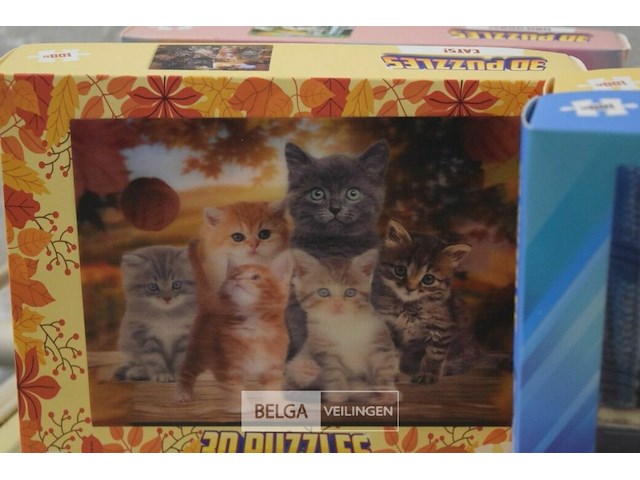 6 3d puzzels - afbeelding 3 van  4