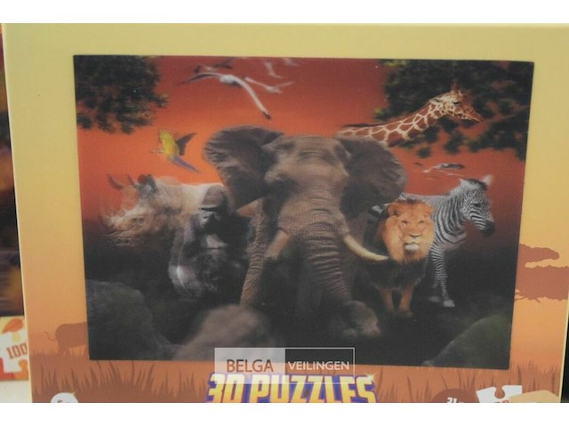 6 3d puzzels - afbeelding 4 van  4