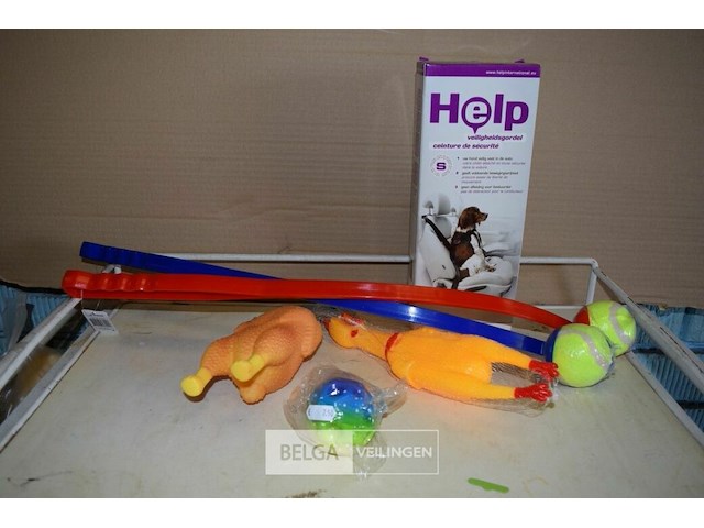 6-delig hondenpakketje - afbeelding 1 van  1