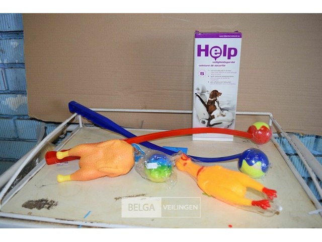 6-delig hondenpakketje - afbeelding 1 van  1