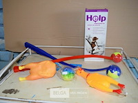 6-delig hondenpakketje