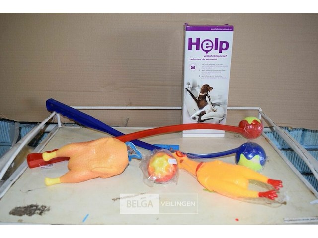 6-delig hondenpakketje - afbeelding 1 van  1