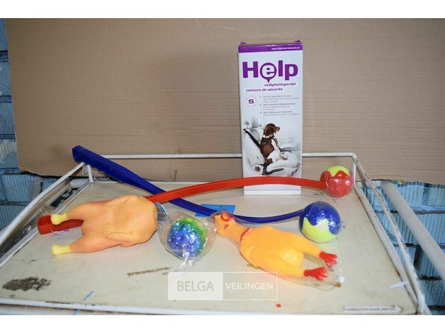 6-delig hondenpakketje - afbeelding 1 van  1