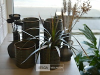 6 div decoratie - afbeelding 1 van  5