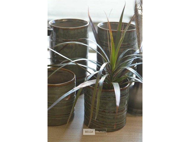 6 div decoratie - afbeelding 3 van  5