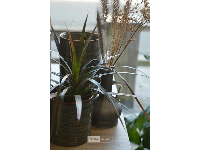 6 div decoratie - afbeelding 4 van  5