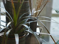 6 div decoratie - afbeelding 5 van  5