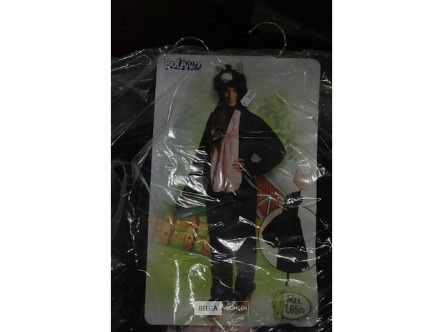 ±6 div. soorten en maten carnevalskledij - afbeelding 2 van  3