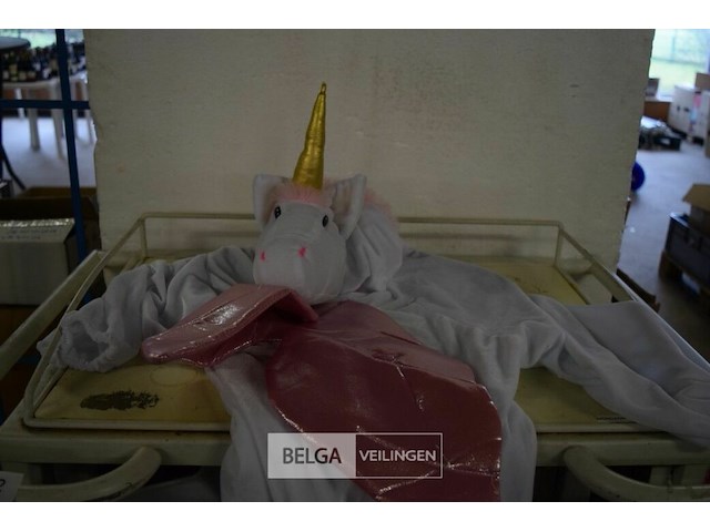 ±6 div. soorten en maten carnevalskledij - afbeelding 3 van  3