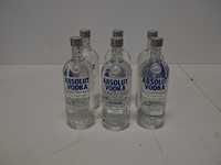 6 flessen absolut vodka 1l