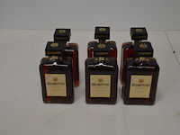 6 flessen disaronno originale likeur 1l